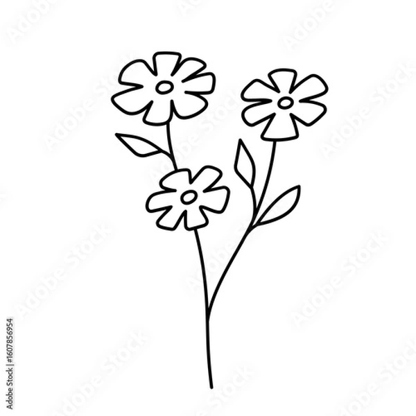 Fototapeta Doodle vector flower contour symbol isolated on a transparent background