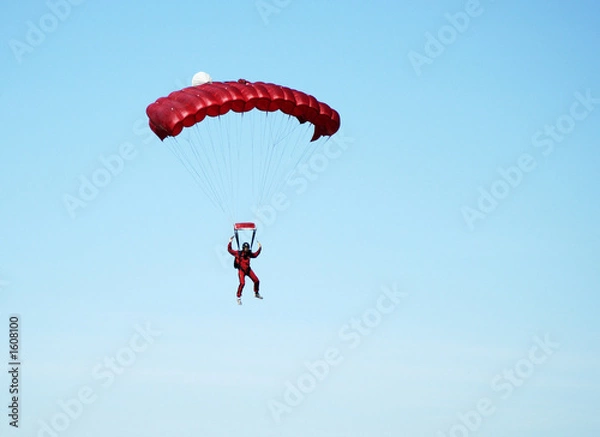 Obraz skydiver 8