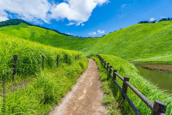 Fototapeta 奈良県　真夏の曽爾高原の遊歩道