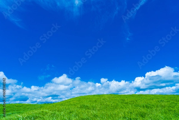 Fototapeta 奈良県　曽爾高原　ススキの草原と青空