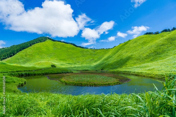 Fototapeta 奈良県　曽爾高原のお亀池