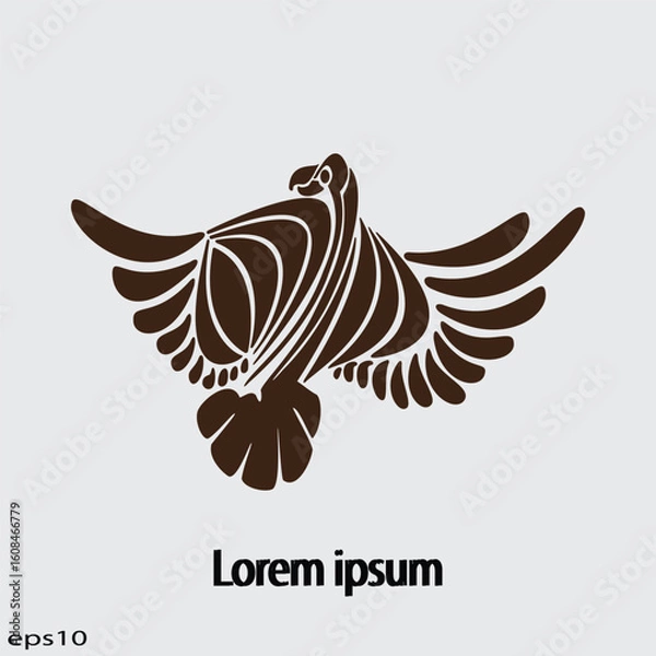 Obraz eagle with wings