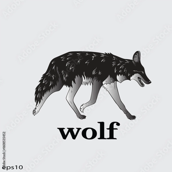 Obraz Wolf Vector illustration. Wolf Vintage Logo
