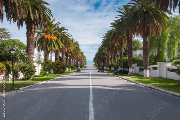 Fototapeta Road in the suburbs leading to the sea among the palms, Tunis