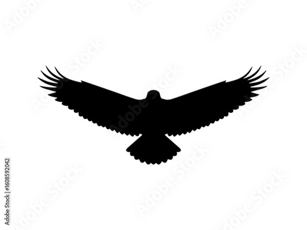 Fototapeta Front view flying eagle silhouette vector flat illustration design.