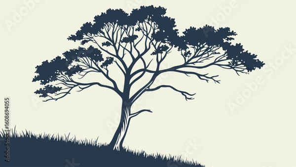 Fototapeta silhouette of tree