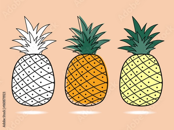 Obraz three pineapple