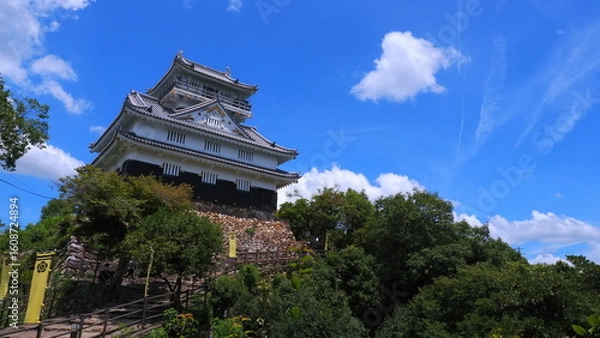 Obraz 岐阜城（夏）1