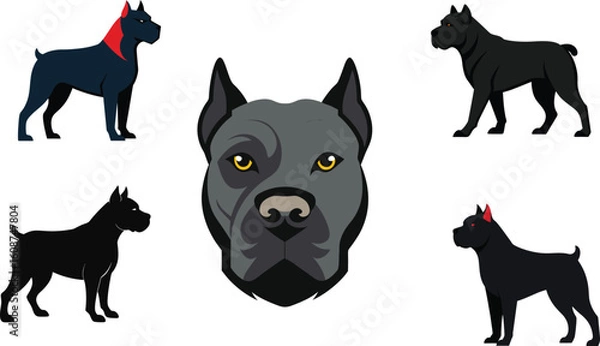 Obraz Cane Corso Color Vector Illustration
