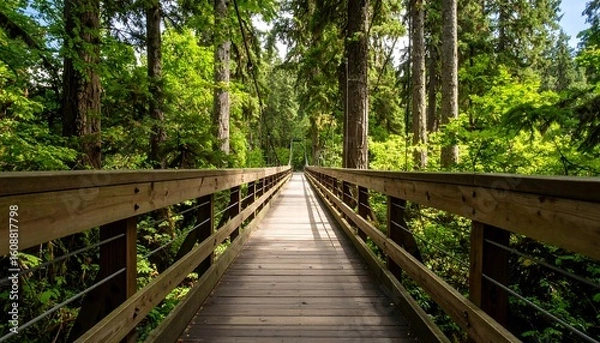 Fototapeta Wooden footbridge through a lush forest. Sunlight streams down a pathway