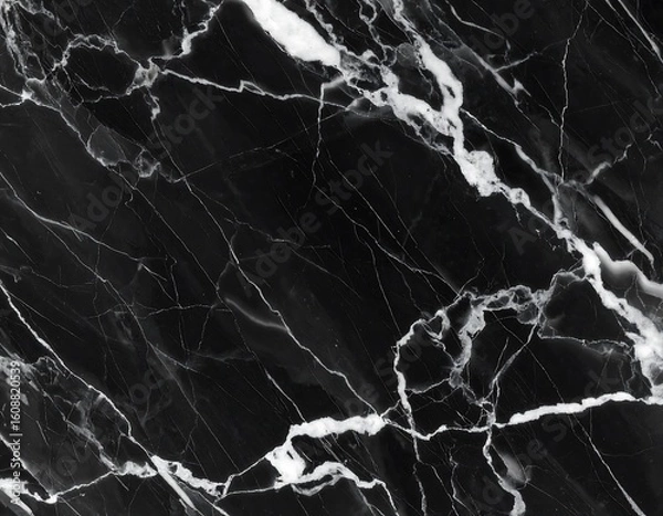 Fototapeta Elegant monochrome marble stone texture with intricate white veining pattern design