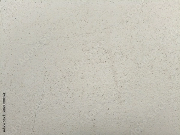 Obraz Old white cracked wall background texture