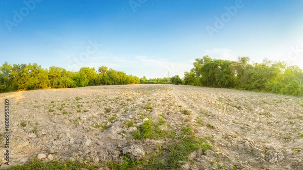 Fototapeta Empty dry cracked swamp reclamation soil, land plot for housing construction project with car tire print in rural area and beautiful blue sky with fresh air Land for sales landscape concept.