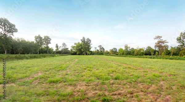 Fototapeta Empty dry cracked swamp reclamation soil, land plot for housing construction Green meadow, beautiful views and beautiful blue sky with fresh air Land for sales landscape concept.