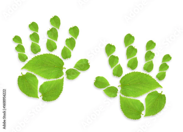 Fototapeta Green leaf growing handprint, isolated on White Background. Reduce CO2 emission concept. World Environment Day concept with cooperation to plant trees to reduce global warming. Sustainable environment