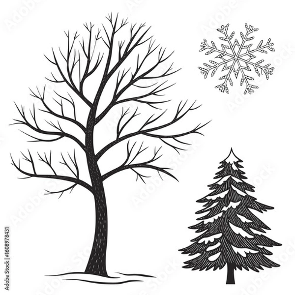 Fototapeta Bare deciduous tree snowy evergreen tree snowflake winter trees