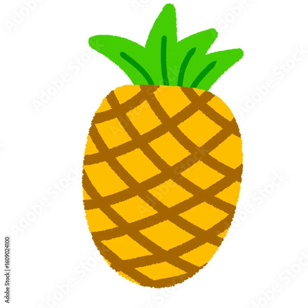 Fototapeta pineapple vector illustration