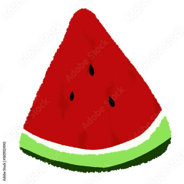 Fototapeta watermelon vector illustration