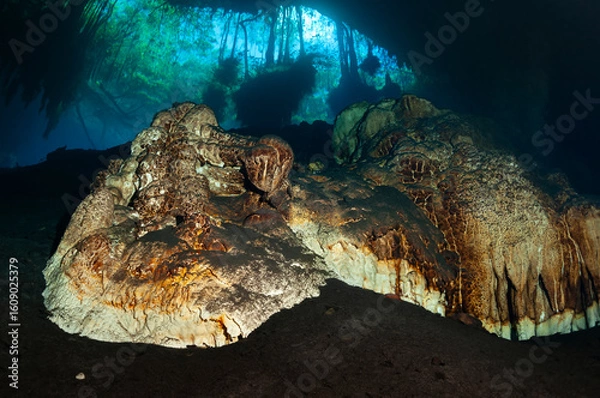 Fototapeta cave entrance and stalagmite
