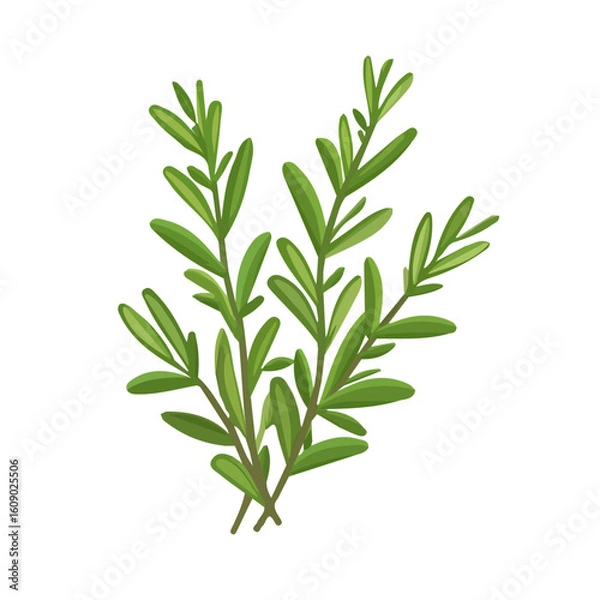 Obraz My Simple flat 2D icon of a rosemary branch isolated on a white background, vector design, ideal for animation, vector, web design, digital illustrations, and minimalism. EPS format, vector	