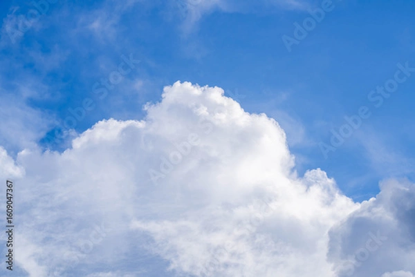 Obraz 夏の青空と白い雲