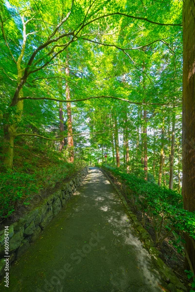 Fototapeta 京都の善峯寺の風景