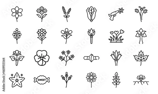 Fototapeta Minimal Botanical Flower Line Art Icons Bundle 24 Hand-Drawn Floral Vector Elements for Natural, Organic, and Feminine Design Projects