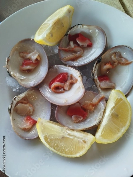 Obraz Plato de conchas finas