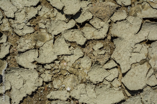 Obraz Cracked mud clay background texture