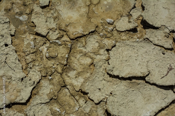 Obraz Cracked mud clay background texture