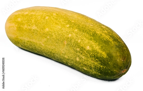 Fototapeta Fresh Cucumber Isolated on White Background