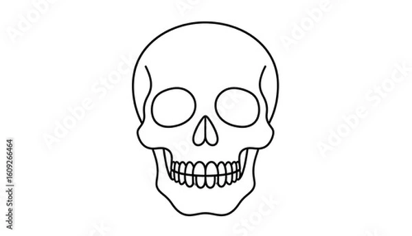 Obraz Simple black outline drawing of a human skull