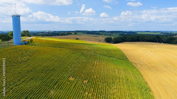 Obraz Champs et couleurs