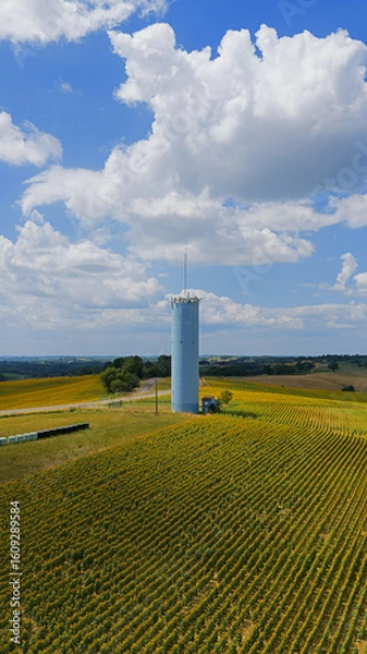 Obraz Couleurs de campagne