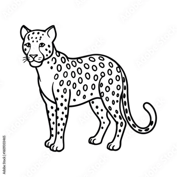 Fototapeta A leopard line art vector illustration