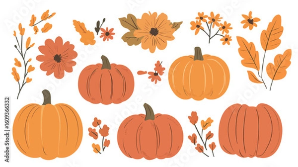 Fototapeta Vector Pumpkins and Flowers Set – Autumn Harvest Floral Elements Vector Graphic