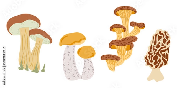 Fototapeta Hand drawn vector set of wild mushrooms with various shapes, colors and textures on white background. Concept of forest fungi collection, organic food and natural woodland illustration