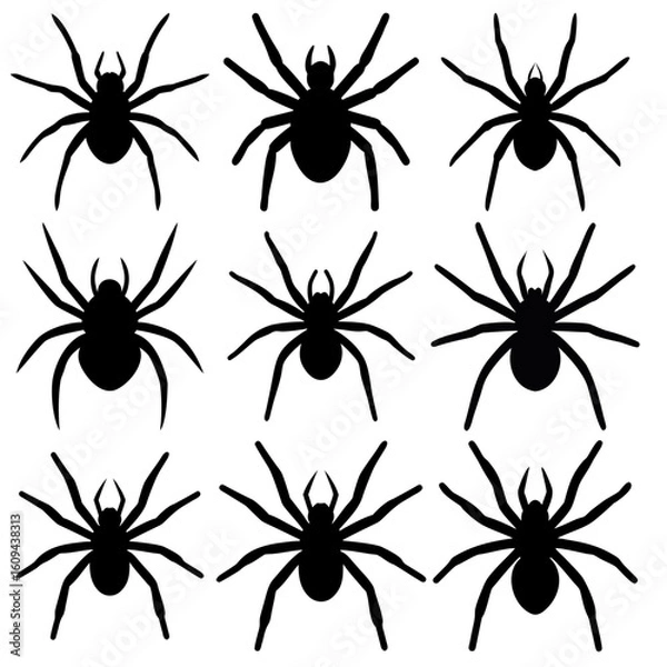 Fototapeta Set of nine black spider silhouettes in various positions for Halloween design