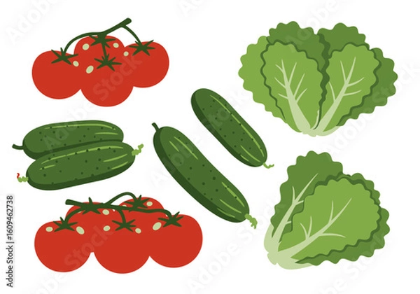 Fototapeta Tomatoes on the vine cucumbers and heads of lettuce are scattered on a white background