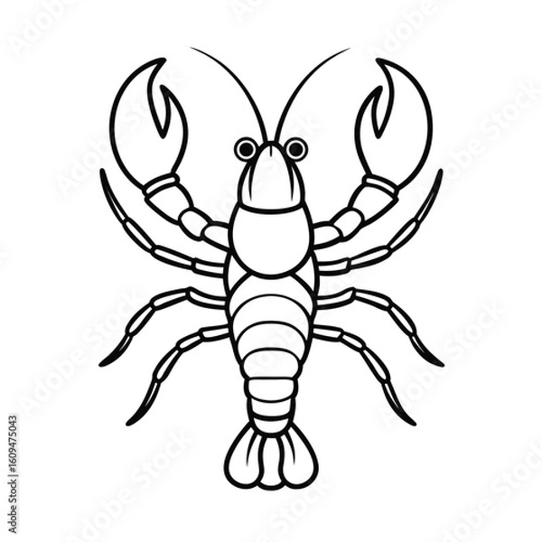 Obraz lobster vector illustration