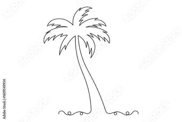 Fototapeta Palm tree outline continuous one line minimalist art isolated exotic summer vector illustration