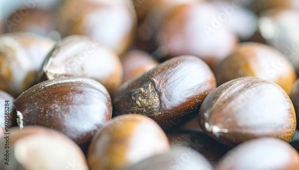 Obraz chestnuts on the ground