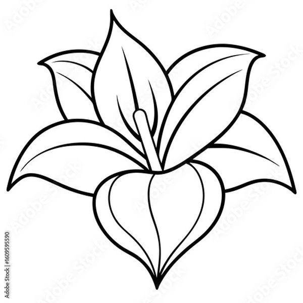 Fototapeta Hosta flower plant vector in flat clean cartoon design