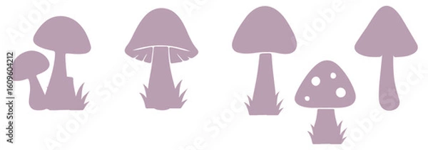 Fototapeta Set of natural and isolated mushrooms Black and light pink color, sprouts from the autumn forest. Seasonal hedgehog mushrooms, chanterelles, Vector flat illustration.   Nature illustration. Eps 10