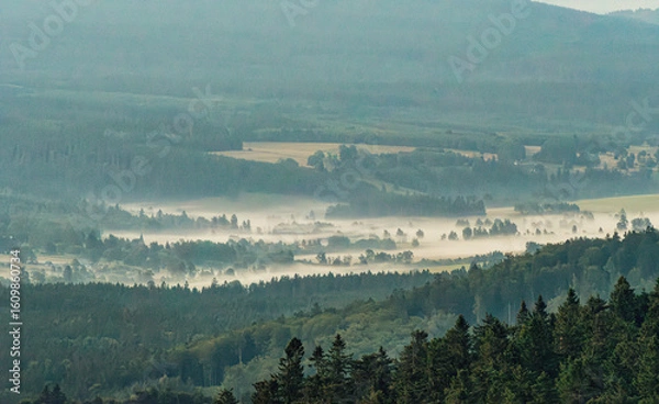 Obraz fog in the mountains