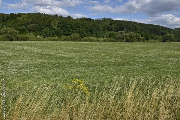 Obraz Landschaft und Ausblick bei Einbeck