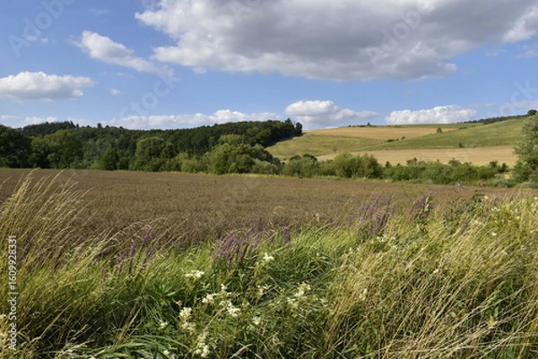 Obraz Landschaft und Ausblick bei Einbeck