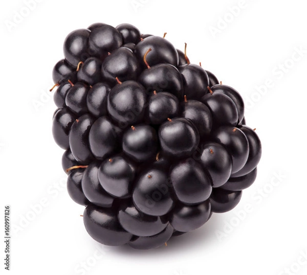 Fototapeta Ripe blackberry isolated on white background with clipping path