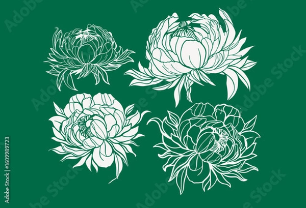 Obraz paeonias seamless floral pattern