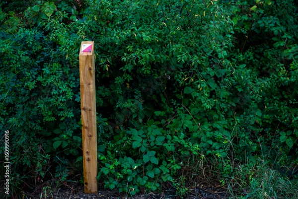 Obraz Forest Boundary Marker